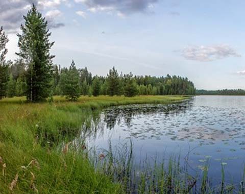 Nature Center